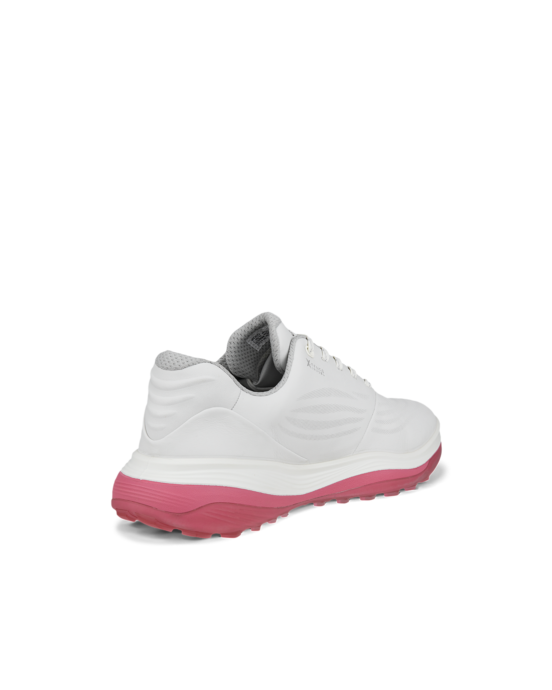 Ecco dam LT1