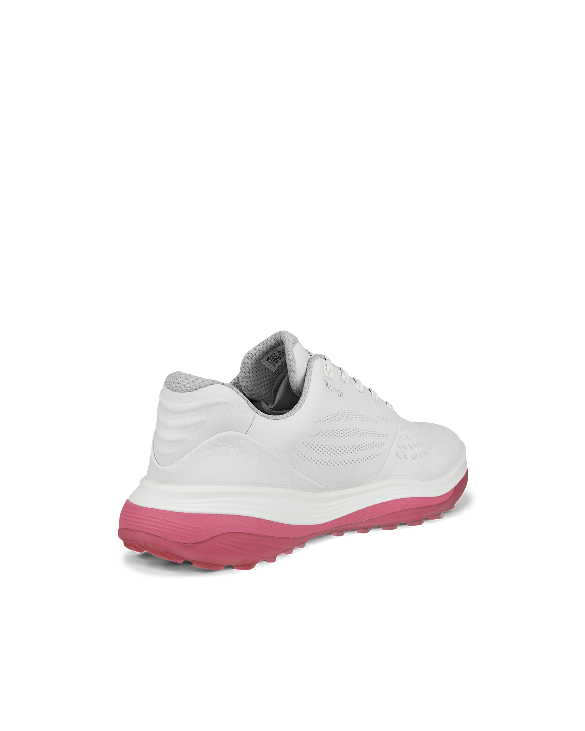 Ecco dam LT1