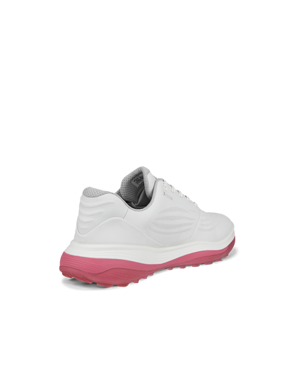 Ecco dam LT1