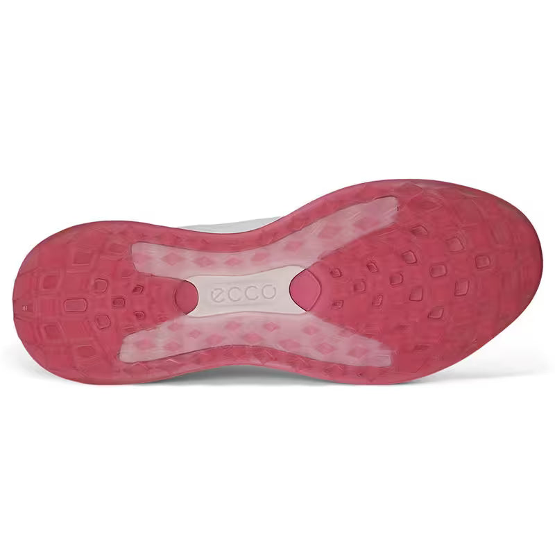 Ecco dam LT1